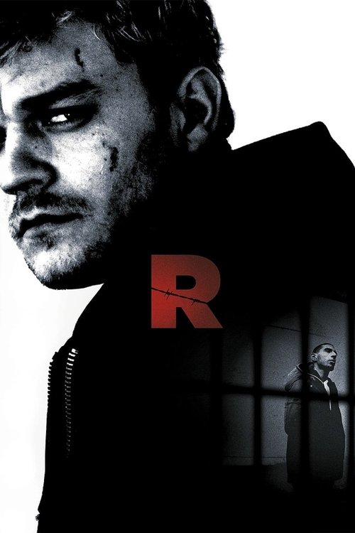 R (2010) poster