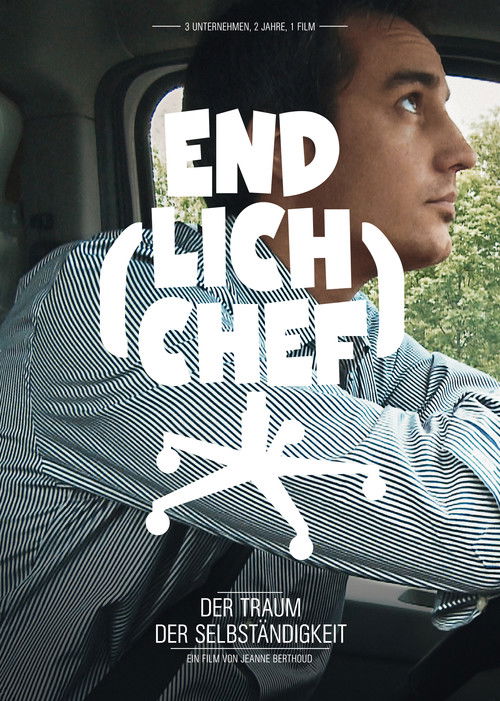 Endlich Chef (2011) poster