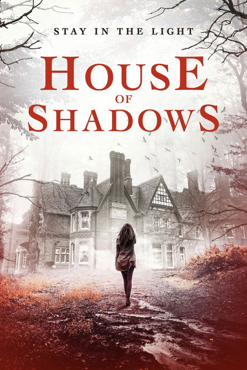 House of Shadows (2020) poster