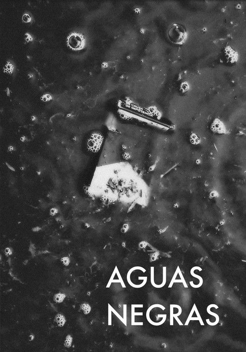 Aguas Negras (2021) poster