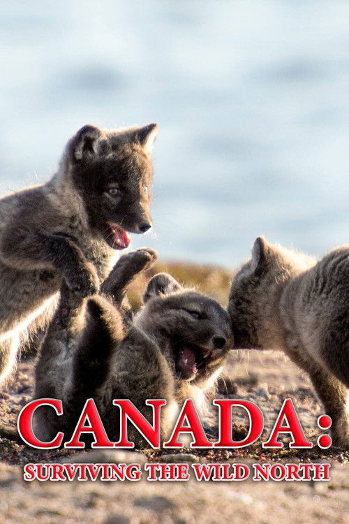 Canada: Surviving the Wild North (2022) poster