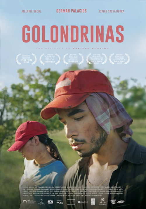 Golondrinas (2020) poster