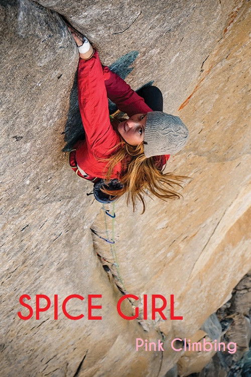 Spice Girl (2013) poster