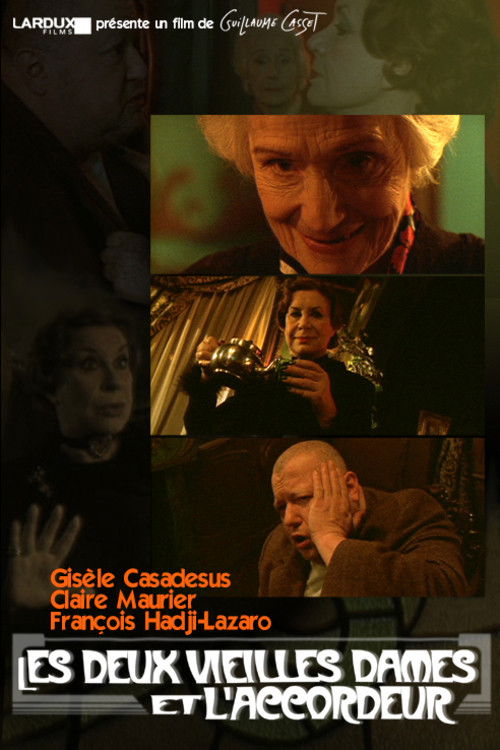 Les Deux Vieilles Dames et l'accordeur (2001) poster