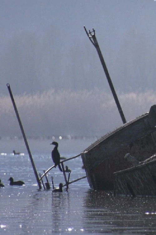 Colors of Prespa: Birds (2019) poster