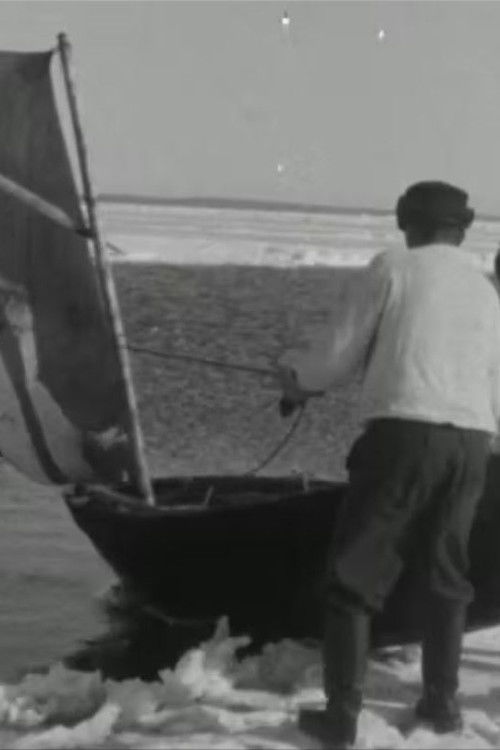 Ülgepüüdäjäd (1965) poster