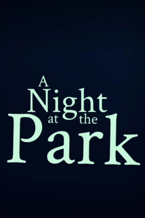 A Night at the Park (2025) poster