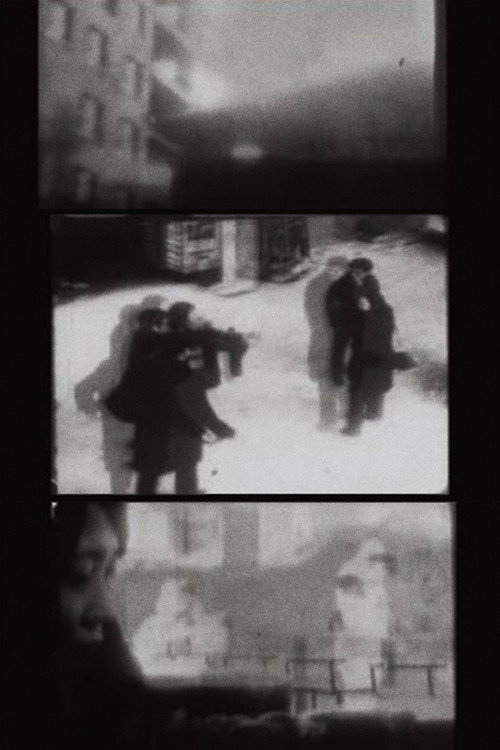 Serene Observation (2012) poster