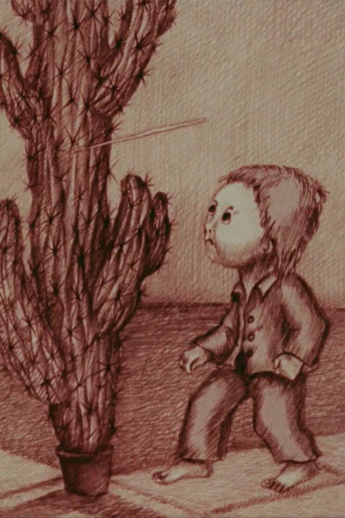 The Mystery of the Cactus (1989) poster