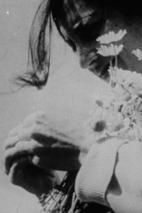 Mosaic (1966) poster