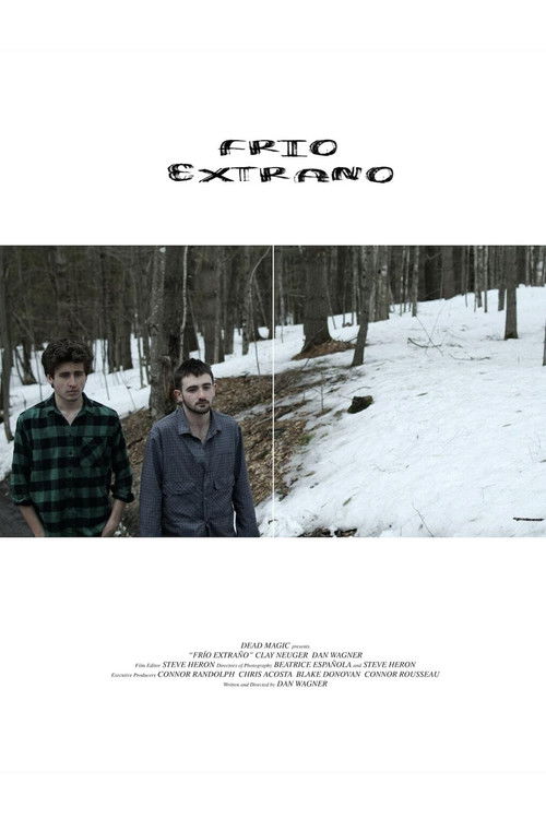 Frío Extraño (2019) poster
