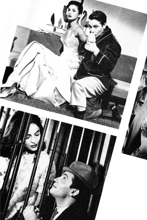 Yo y las mujeres (1959) poster