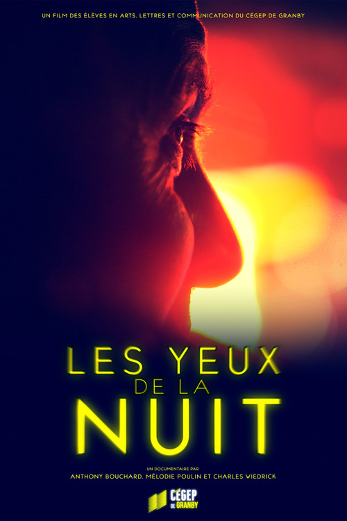Les yeux de la nuit (2024) poster