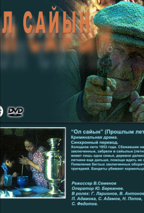 That Summer (1996) poster