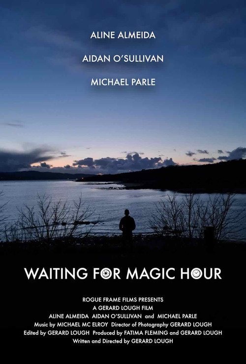 Waiting for Magic Hour (2024) poster