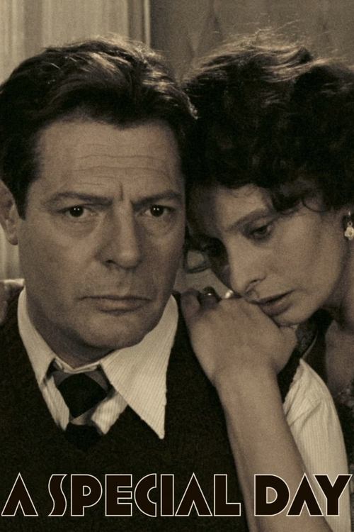 Özel Bir Gün (1977) poster