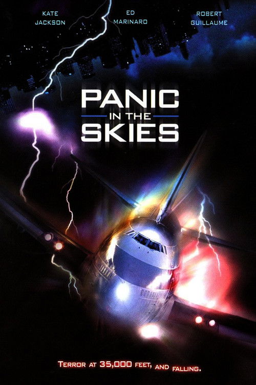 Panic in the Skies! (1996) poster