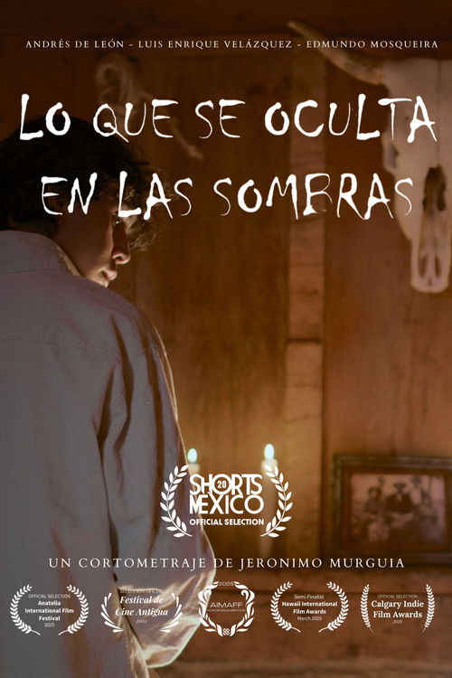 Lo que se oculta en las sombras (2025) poster