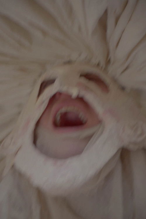 Le Roman de Remort, ou les fabliaux inhumains & vilains de l'Ultime Carnaval (2023) poster