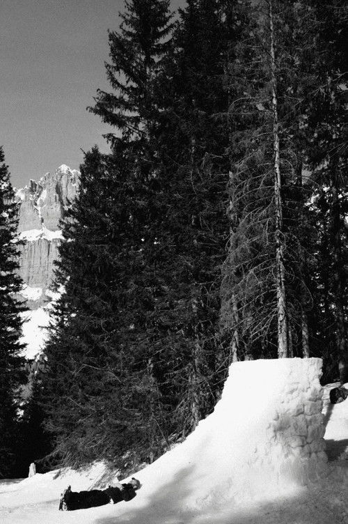 Maneuvers (2021) poster