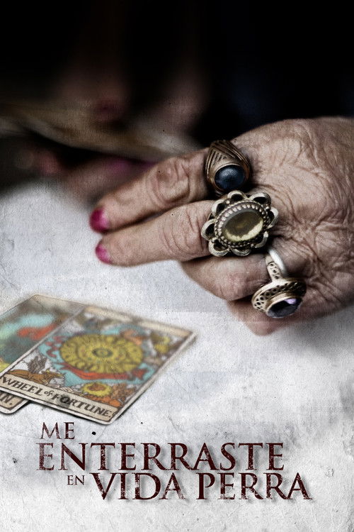 You Buried Me Alive, Bitch (2013) poster