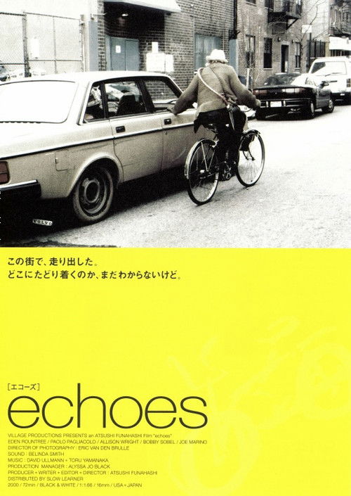 Echoes (2002) poster