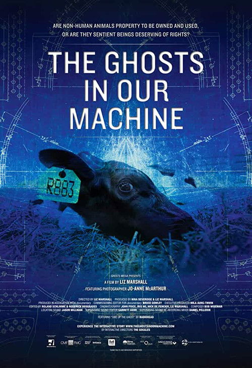 The Ghosts in Our Machine (2013) poster
