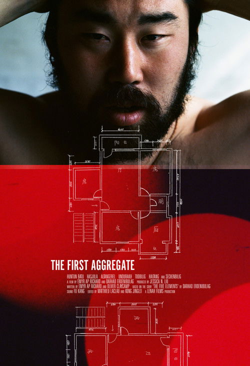 The First Aggregate (2012) poster