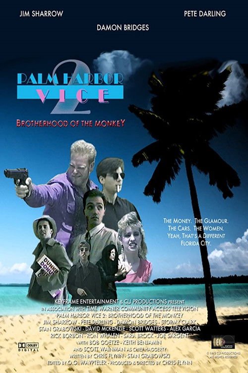 Palm Harbor Vice 2: Brotherhood of the Monkey (1993) poster