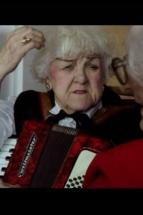 Fabulous Fairies (2008) poster