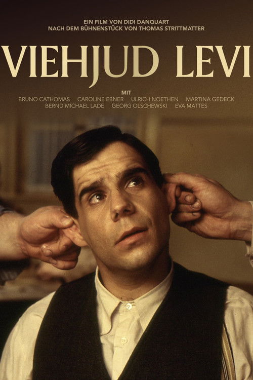 Jew-boy Levi (1999) poster