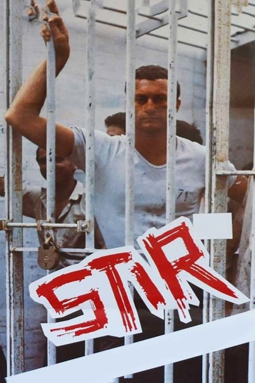 Stir (1980) poster