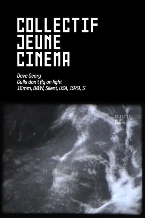 Gulls Don’t Fly On Light (1979) poster