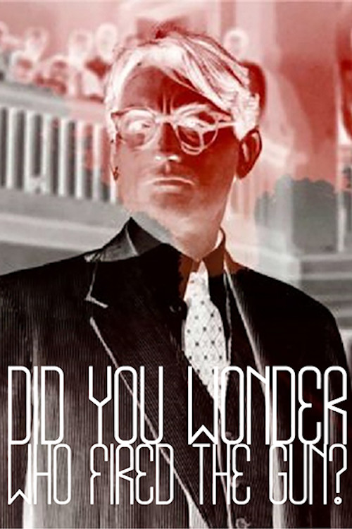 Did You Wonder Who Fired the Gun? (2017) poster