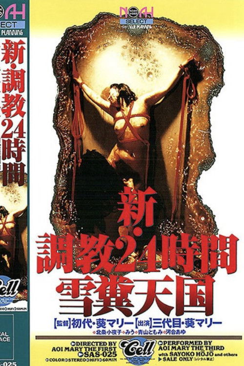 新・調教24時間 雪糞天国 (1996) poster