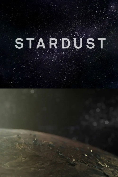 Stardust (2013) poster