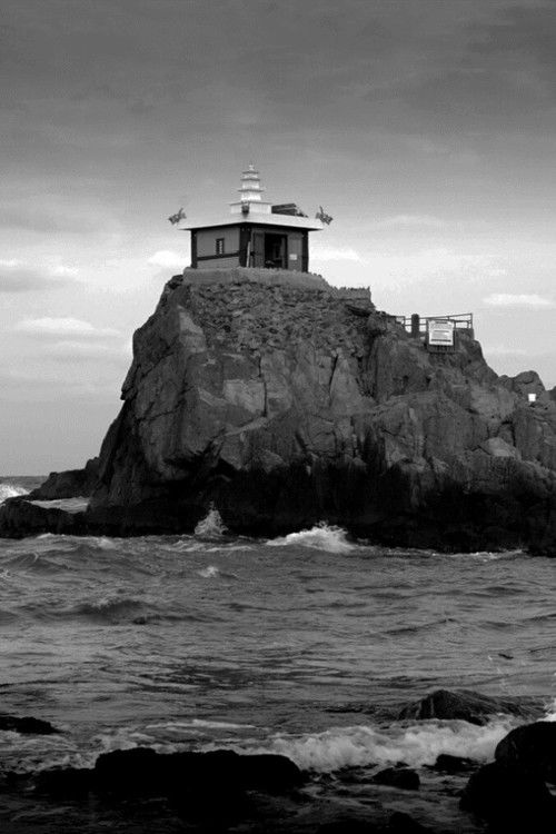 Transmigration: The Turtle and the Women (2021) poster