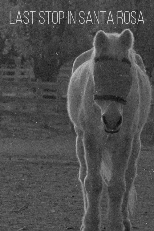 Last Stop in Santa Rosa (2014) poster