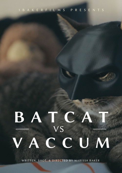 BatCat vs Vacuum (2024) poster