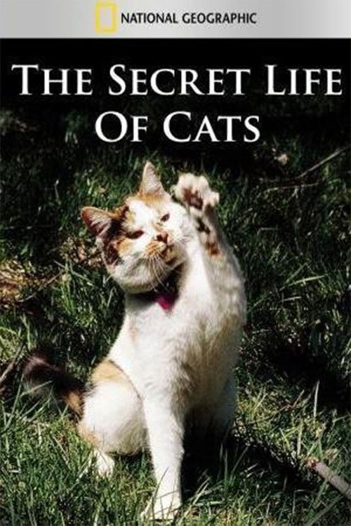 The Secret Life of Cats (1999) poster