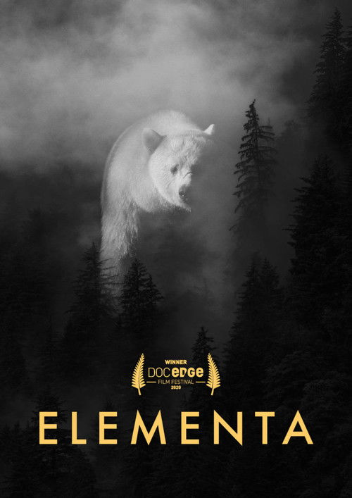 Elementa (2020) poster