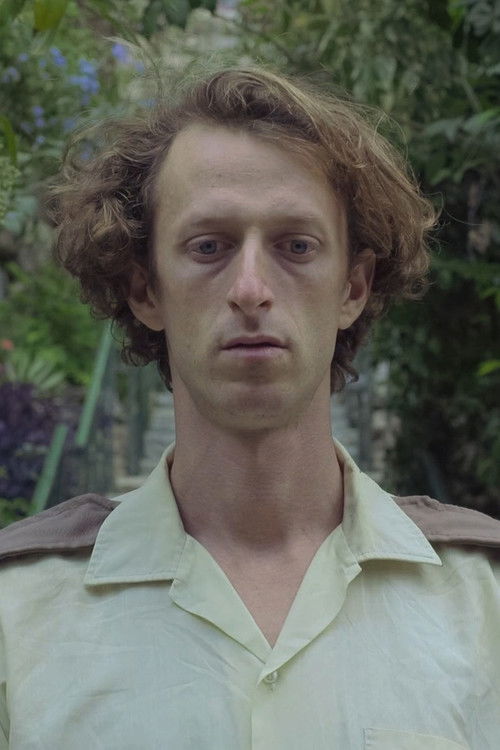 The Postman in Underwear (2016) poster