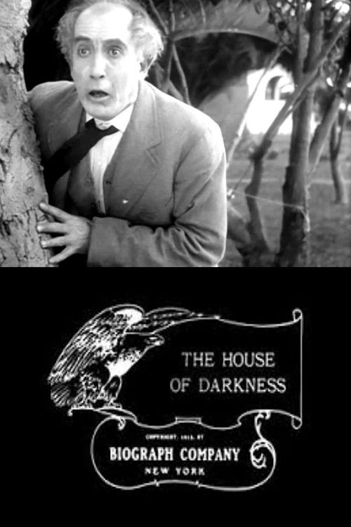 The House of Darkness (1913) poster