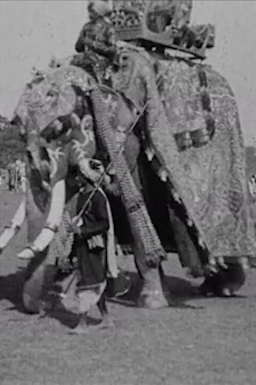 Calcutta Pageant (1912) poster