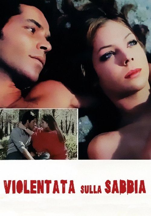 Raped On The Beach (1971) poster