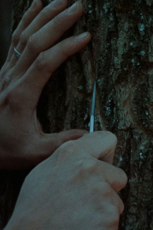 Une saison sans Guy (2018) poster