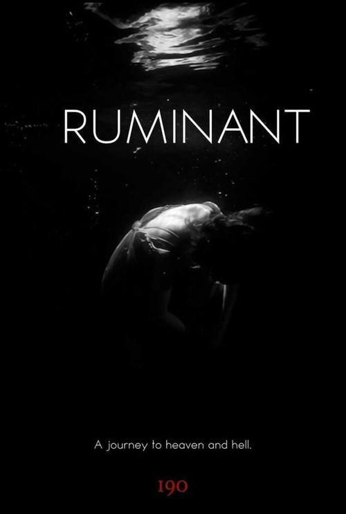 Ruminant poster