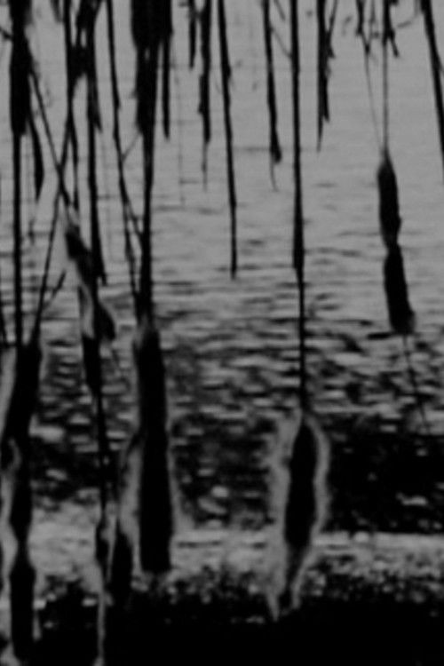 U-Turn (2016) poster