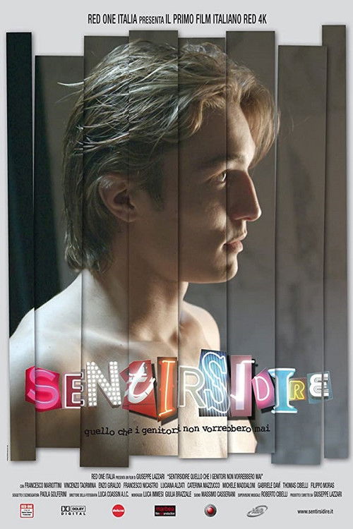 Sentirsidire: Quello che i genitori non vorrebbero mai (2010) poster
