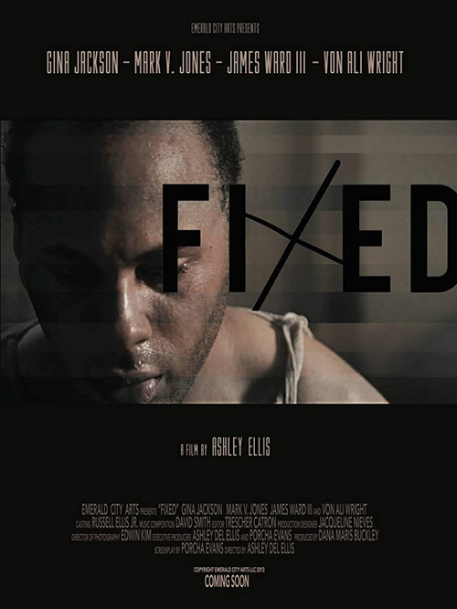 Fixed (2014) poster